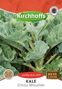 Veggie Seed - Kale