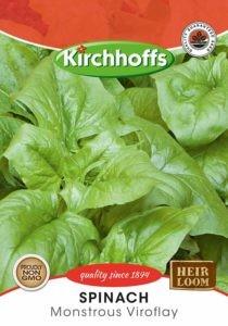 Veggie Seed - Spinach Monstrous
