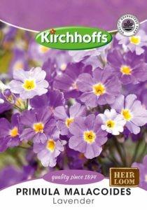 Flower Seed - Primula Lavender