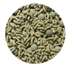 Sera Raffy Vital 1000ml Tortoise