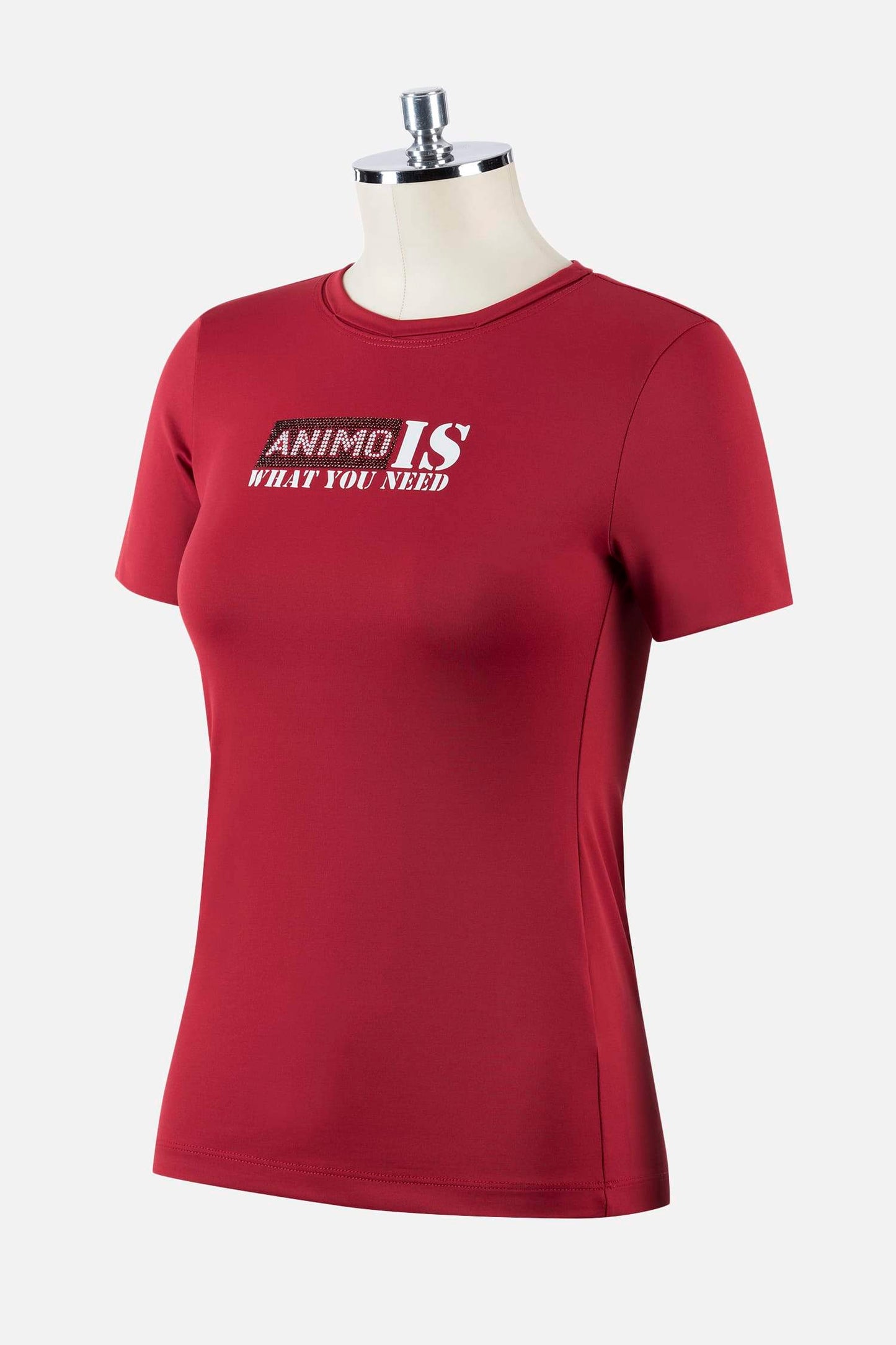 Animo T-Shirt Fray Cranberry