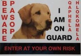 ON GUARD LABRADOR