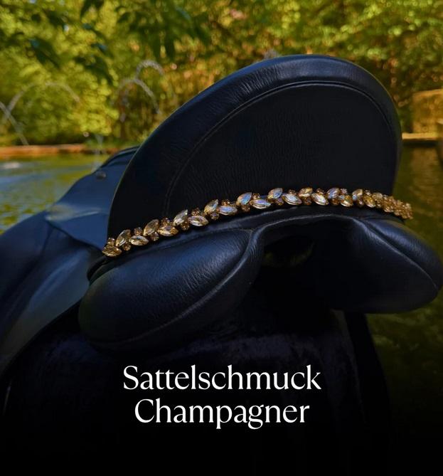 Equos Imperi Champaigne Browband Combo