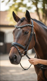 Equos Imperi Imperial black Browband Combo