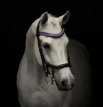 Equos Imperi Purple Browband Combo