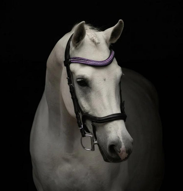 Equos Imperi Purple Browband Combo