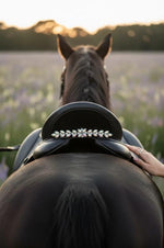 Equos Imperi Rainbow Browband Combo