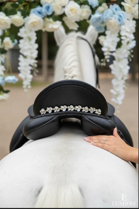Equos Imperi Water fairy Browband Combo