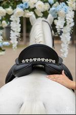 Equos Imperi Water fairy Browband Combo