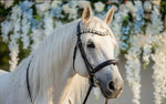 Equos Imperi Water fairy Browband Combo