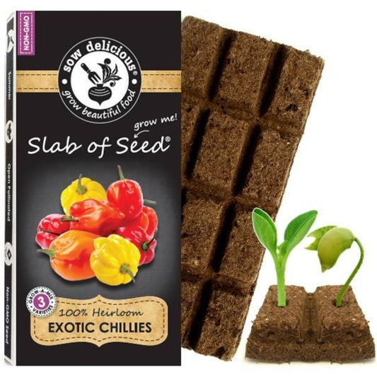 Exotic Chillies Sow Delicious slab of seed