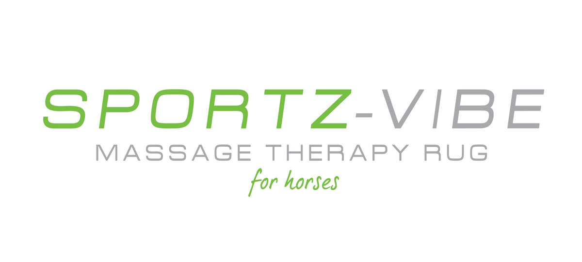 Sportzvibe Splitter Cable