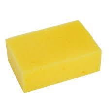 Sponge