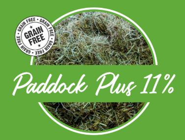 Spurwing (Fibre+) Paddock Plus 11% 40kg