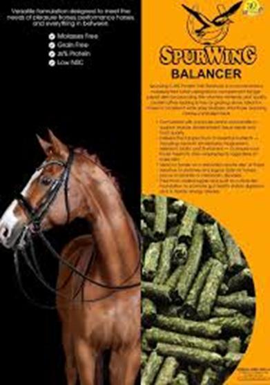 Spurwing 25% Balancer 40kg