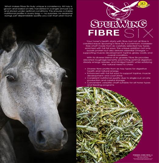 Spurwing Fibre Six 20kg