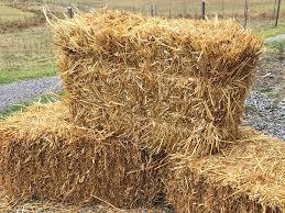 Straw