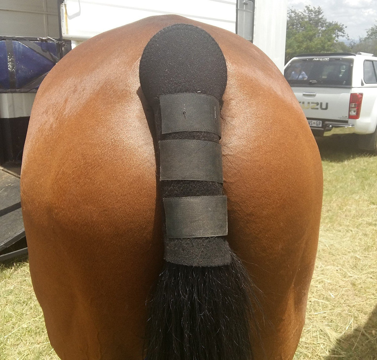 Tail Guard Neoprene Black