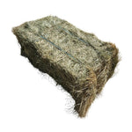 Teff Bale