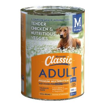 Montego Adult Chic Tin 385G