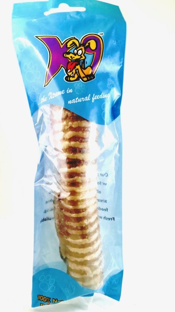 K9 Trachea Whole