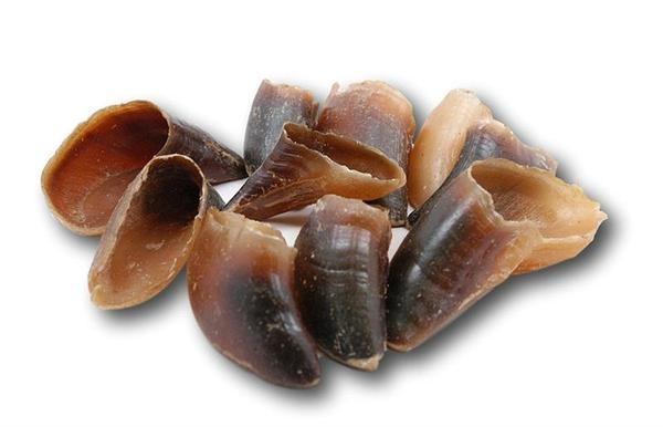 Cow Hooves 10 Pack