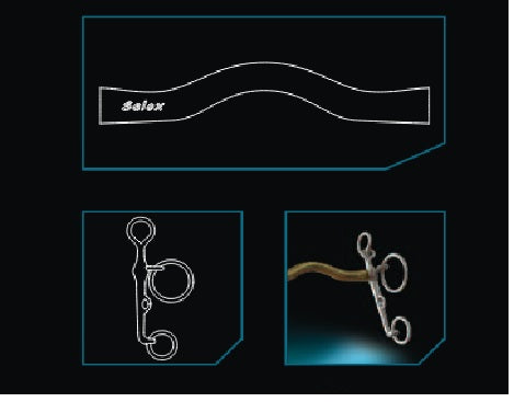 Neue Schule Slimma Show Pelham