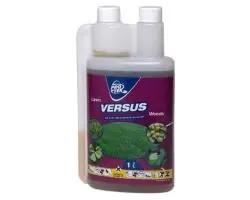 Versus 1L