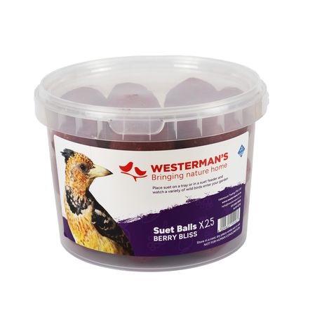 SUET MINI BALL VALUE TUB BERRY
