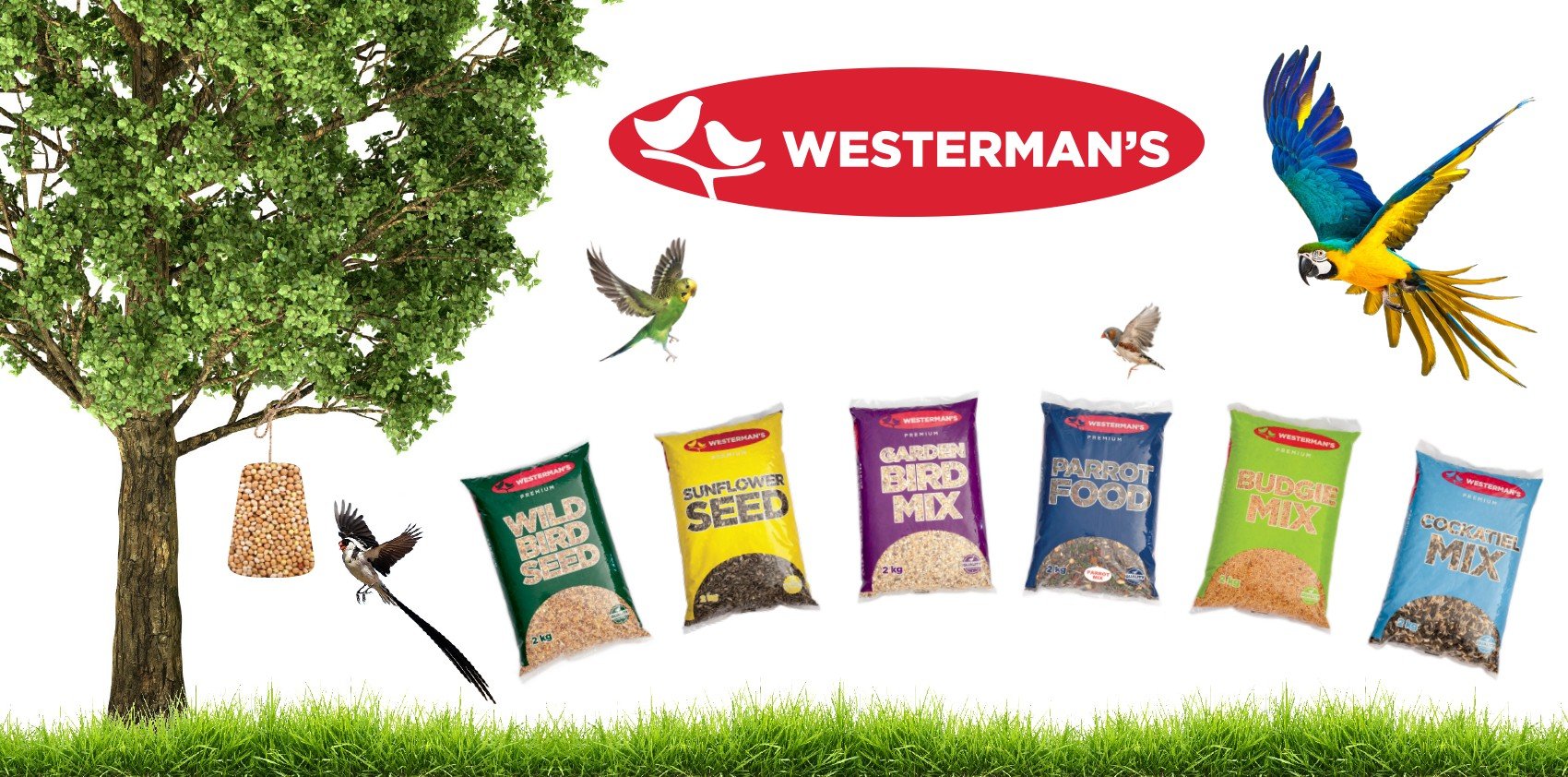 Wild Bird Westermans