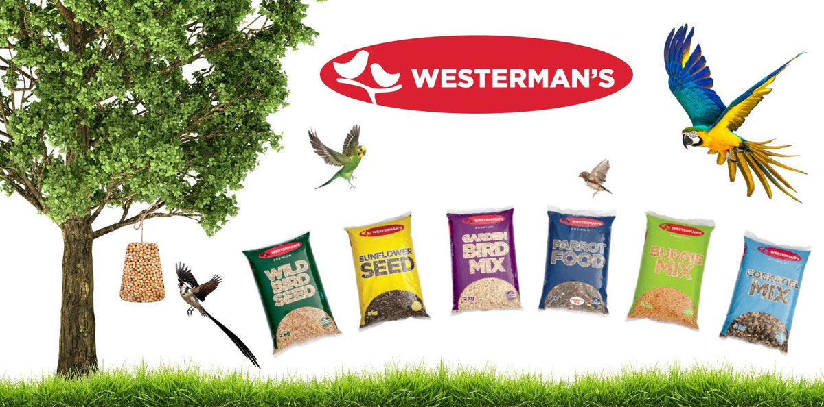 Wild Bird Westermans