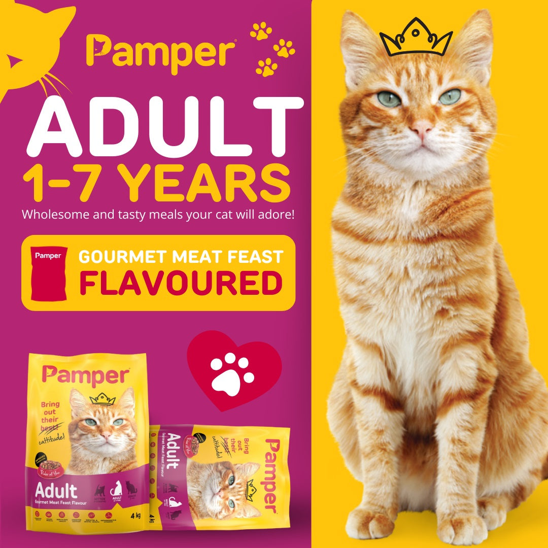 PAMPER GOURMET FEAST 4KG